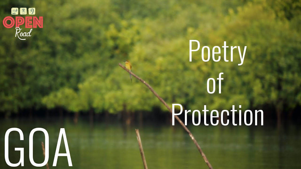 Mangroves — Poetry of Protection, Goa