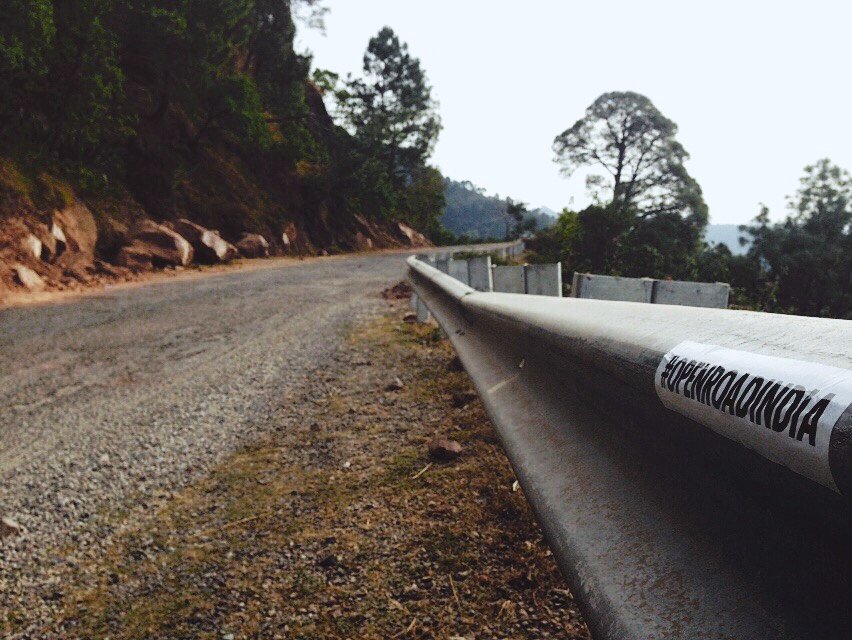 An empty mountain road â€” and one of our stickers on the railing. â€” Himachal Pradesh