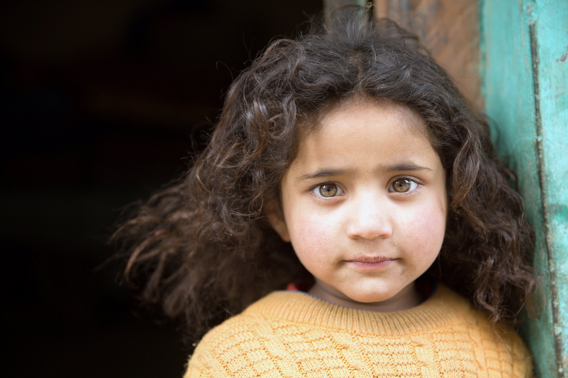 Bright eyes, a quiet smile. â€” Himachal Pradesh Â· Nov 2015