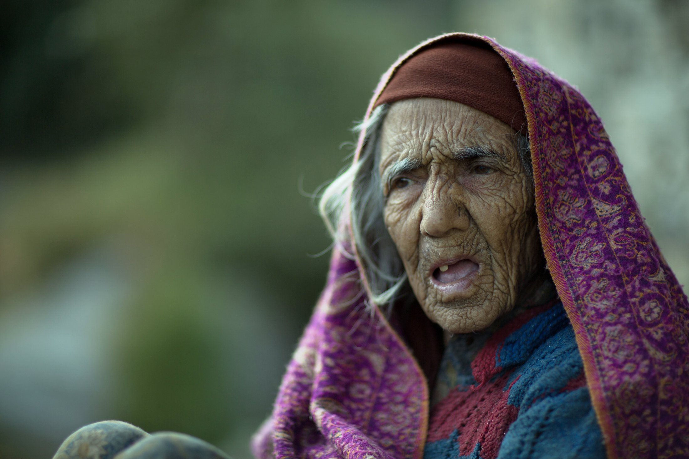 A hundred years old, mid-story. â€” Himachal Pradesh Â· Nov 2015