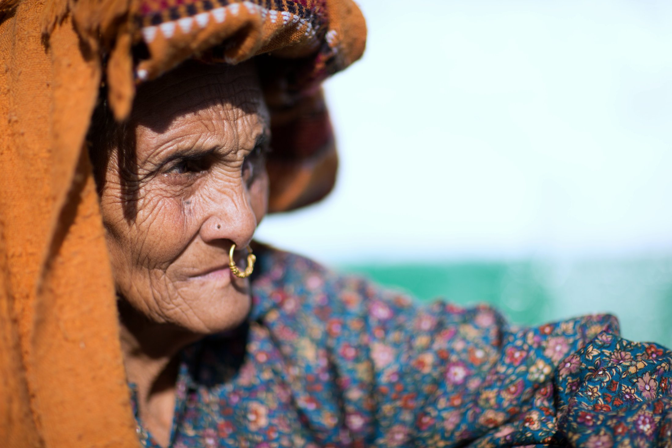 A grandmother's strength. â€” Himachal Pradesh Â· Nov 2015